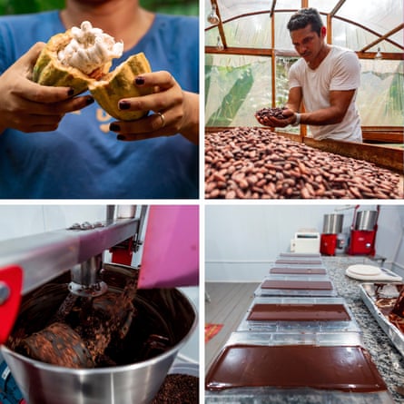 From right to left top and bottom, the stages of creating chocolate: Izabela Campos opens a cacao pod, Zeno Gemaque sorts cocoa beans, the beans are crushed, and the final product cools.