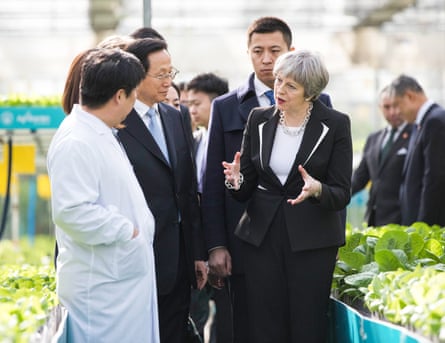 Theresa May talks with employees as she walks through a greenhouse full of lettuce at the Agrigarden research and development centre in Beijing.