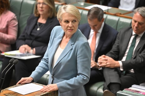 Minister for social services Tanya Plibersek.