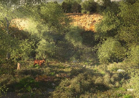 Artist’s impression showing the plant species which would have lived in the Pett Level forest.