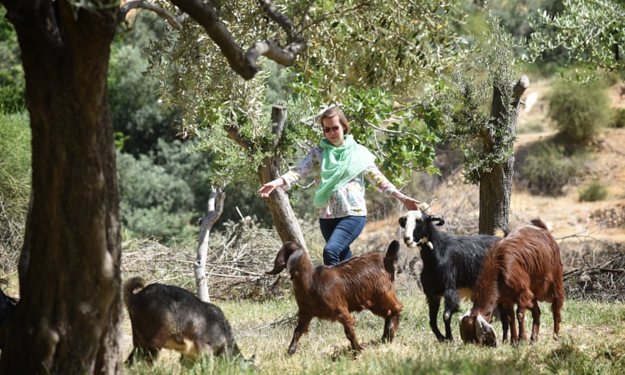 A woman herding goats in Jordan.