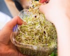 Nationwide recall of alfalfa sprouts linked to ‘unusual strain’ of salmonella after dozens infected across Australia
