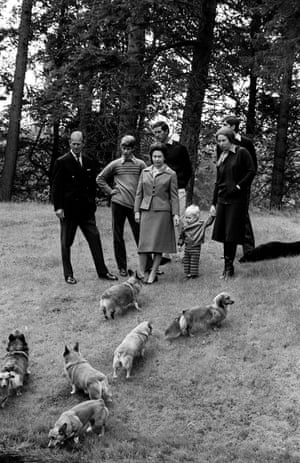 1979: the Queen, the Duke of Edinburgh, and their family, enjoy a stroll with their corgis in the grounds of Balmoral