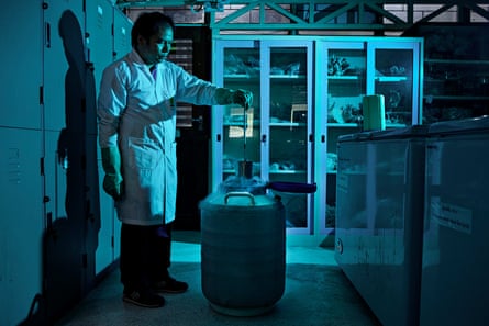 Dr Preecha Sanesith takes coral spore samples from a nitrogen-filled storage tank.
