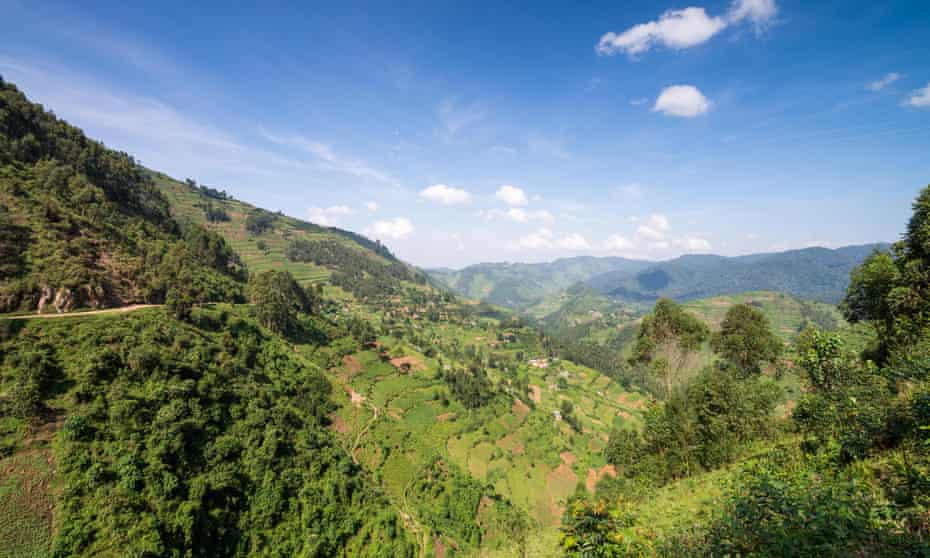 Bwindi national park in Uganda