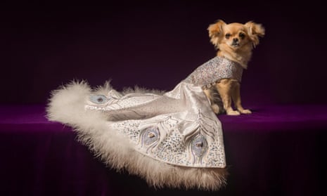 The World's Most Expensive Presents review a ballgown for your dog, anyone? | Television | The Guardian The World's Most Expensive Presents review a ballgown for your dog, anyone? | Television | The Guardian