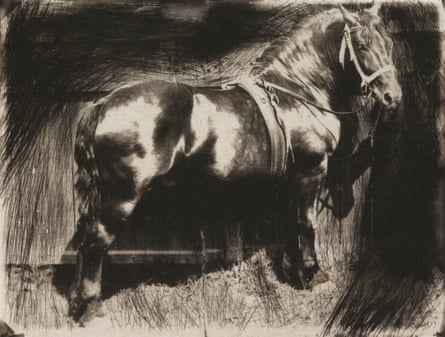 ‘The Horse’, c 1890.