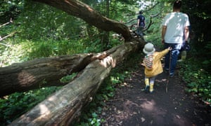 Family with small child in woods