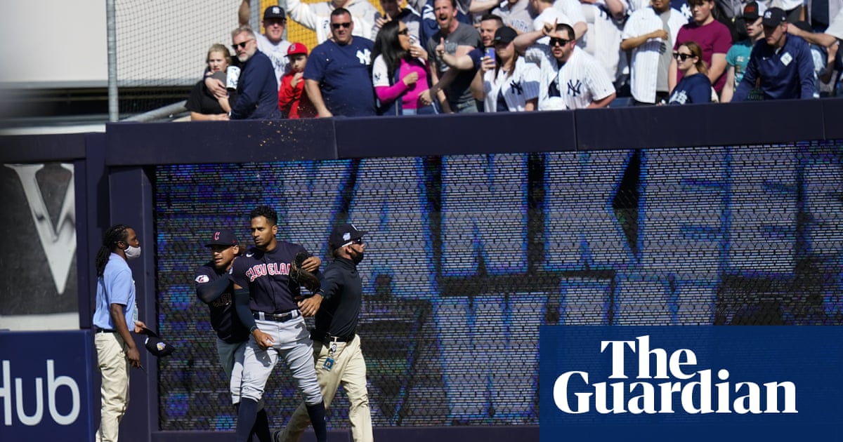 ‘Criminal in any other setting’: do fans pose a threat to NBA and MLB stars?