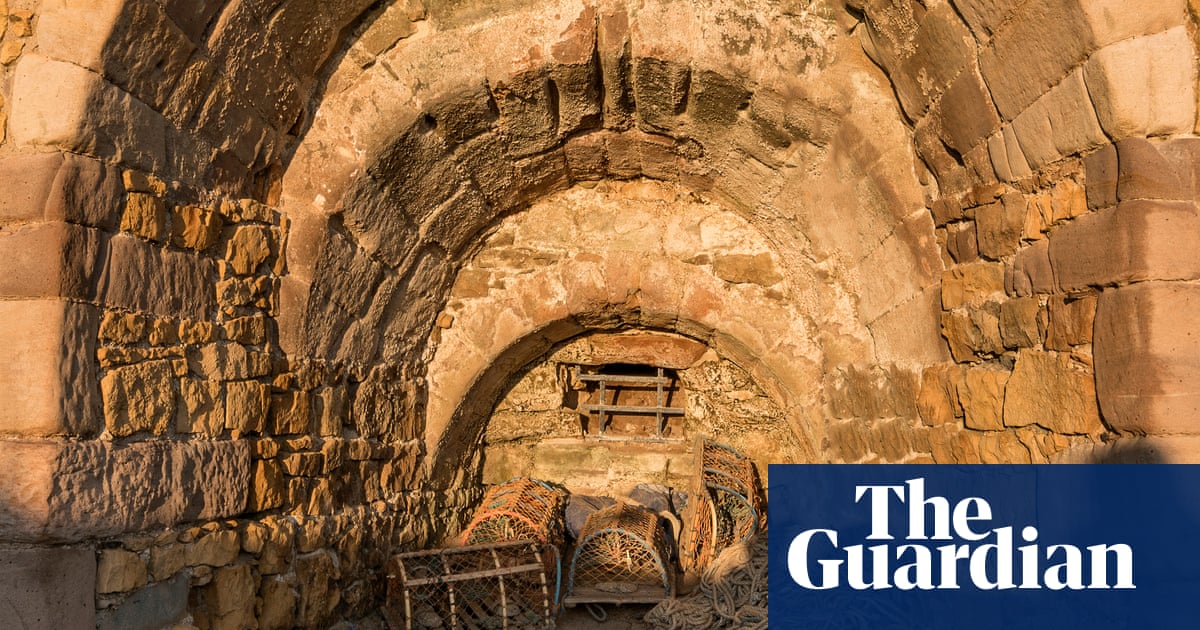 Carbon extraction plan may beat one’s own | Carbon extraction and storage (CCS) Carbon extraction plan may beat one’s own | Carbon extraction and storage (CCS)