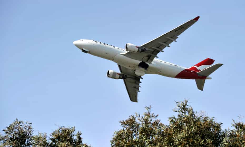 View from below of a Qantas plane flying above the treeline