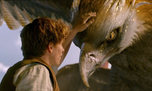 Image result for fantastic beasts and where to find them lead characters