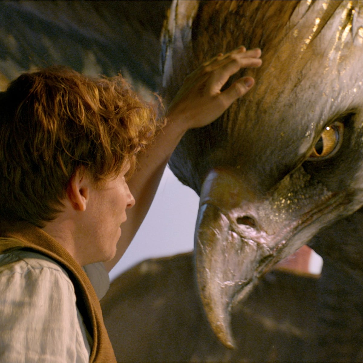 Fantastic Beasts And Where To Find Them Review Jk Rowling Goes Steampunk Film The Guardian