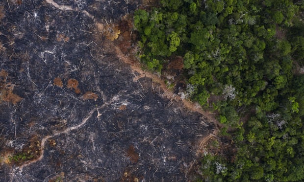 A burned area of rainforest in Pará state. Grabbing land on federal reserves by deforesting it, burning the dead trees and putting cattle on it is common practice in the Amazon.