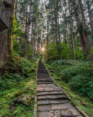 Sunset, Stone path and Sugi trees or Japanese Cedar (Cryptomeria japonica) forest at Mount Haguro, One of the three sacred mountains of Dewa Province
