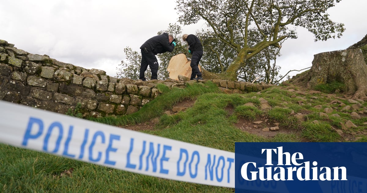 Man accused of felling Sycamore Gap tree told police he was stitched up'