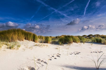 Dune formation on Texel