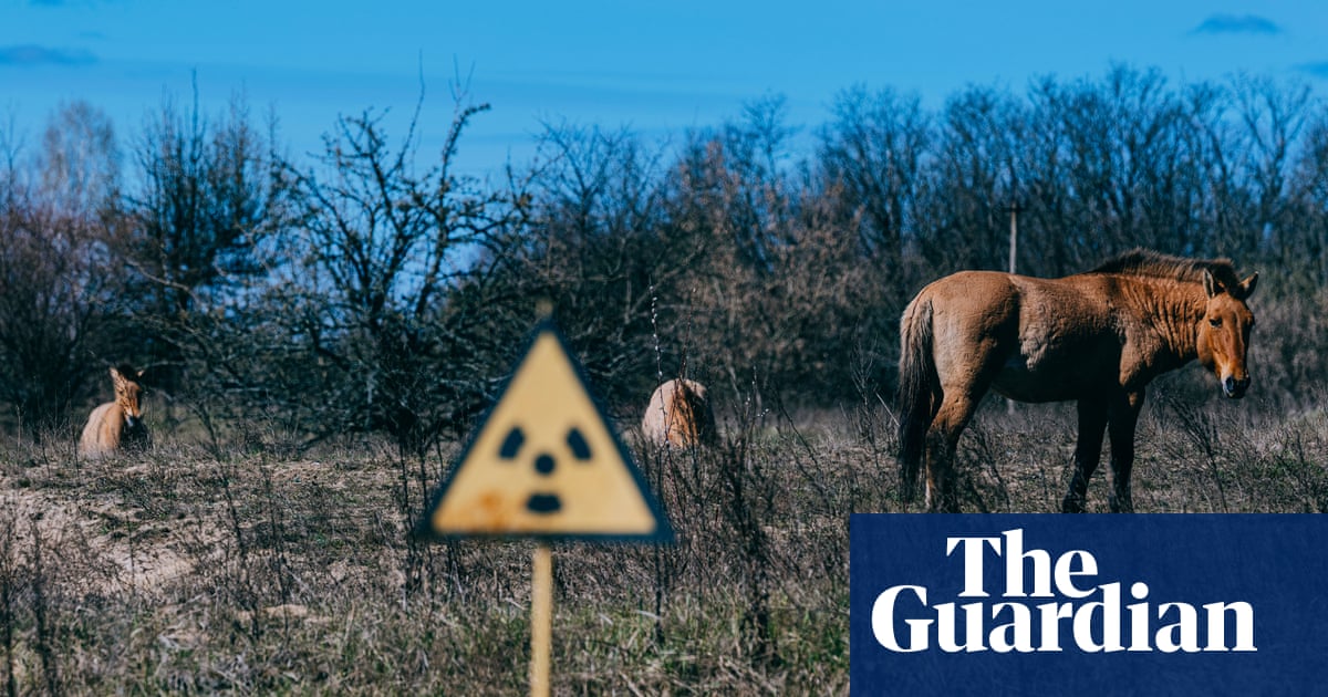 Super Natural by Alex Riley review the creatures that can survive anywhere