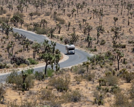 Around three millions people visit Joshua Tree National Park per year.