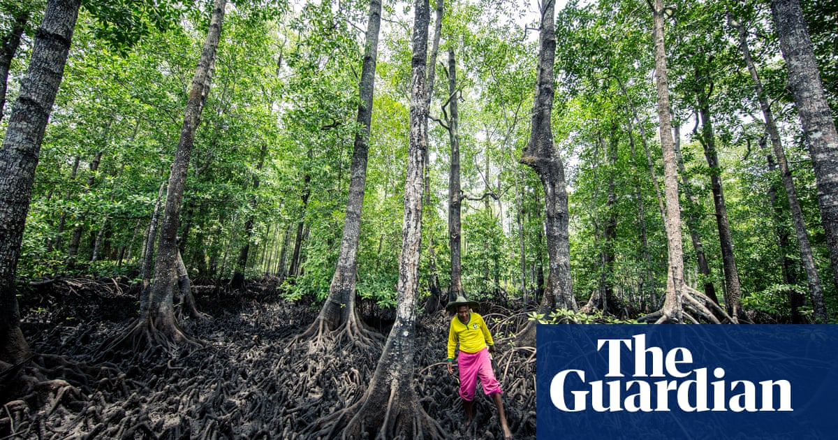 Living in Indonesia's marine protected areas - in pictures