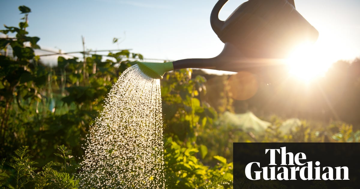 A 30-year drought may be coming: here’s how you can save water | Environment | The Guardian