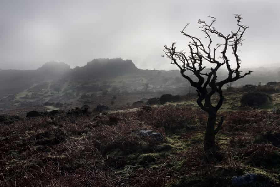 A foggy morning on Dartmoor.