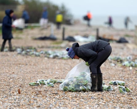 People bend down to gather debris including bananas strewn across a pebble beach