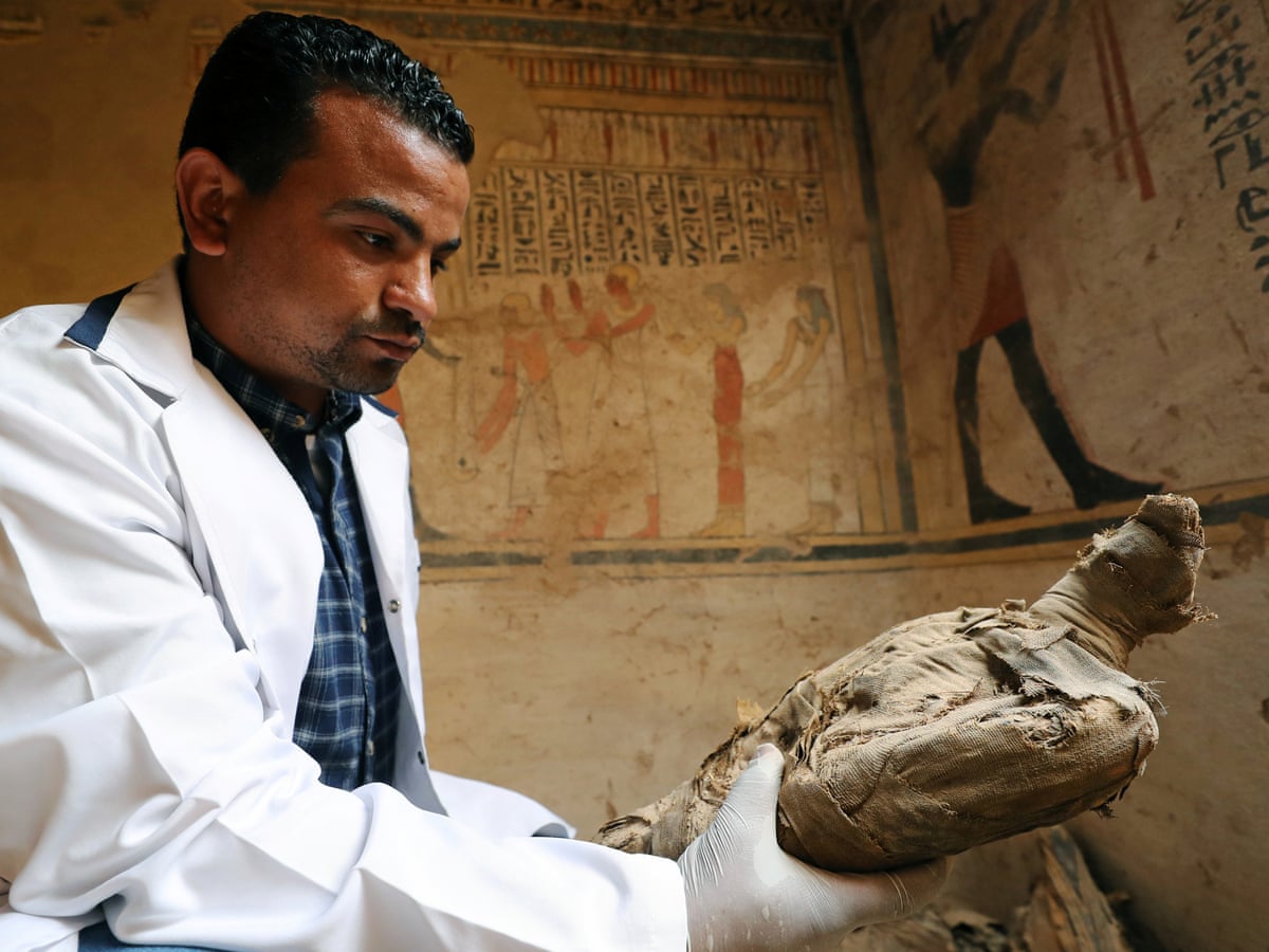 pic Sacred Egyptian Bird ancient egypt s sacred bird mummies