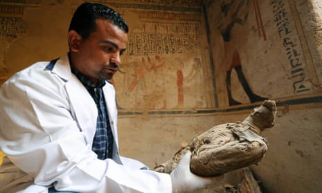 An archeologist holds an ancient mummified bird, found inside the newly discovered tomb of Tutu burial site in Sohag, Egypt.