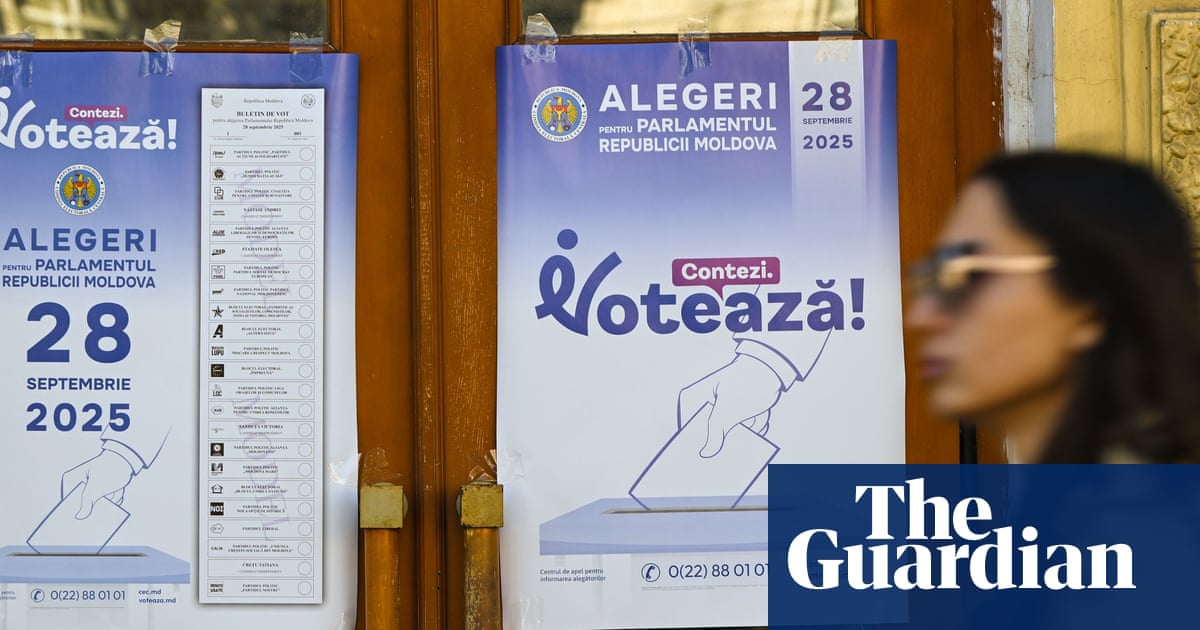 Moldovan diaspora critical in elections as country battles Russian vote-buying, says former minister