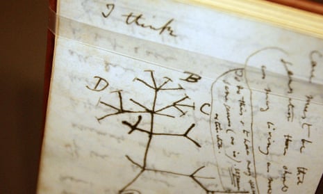 A ‘tree of life’ sketch in one of Darwin’s many notebooks.