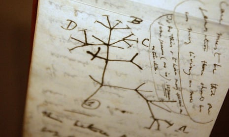 A tree of life sketch in Darwin’s “B” notebook.