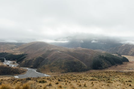 A wide shot of the rolling Canterbury fields in New Zealand, mostly grassland with some pine trees visible