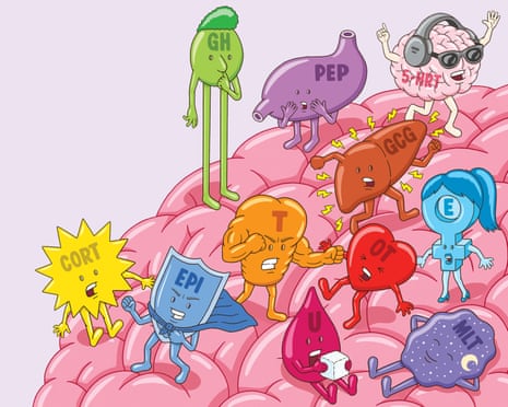 Illustration of hormones on a pink brain