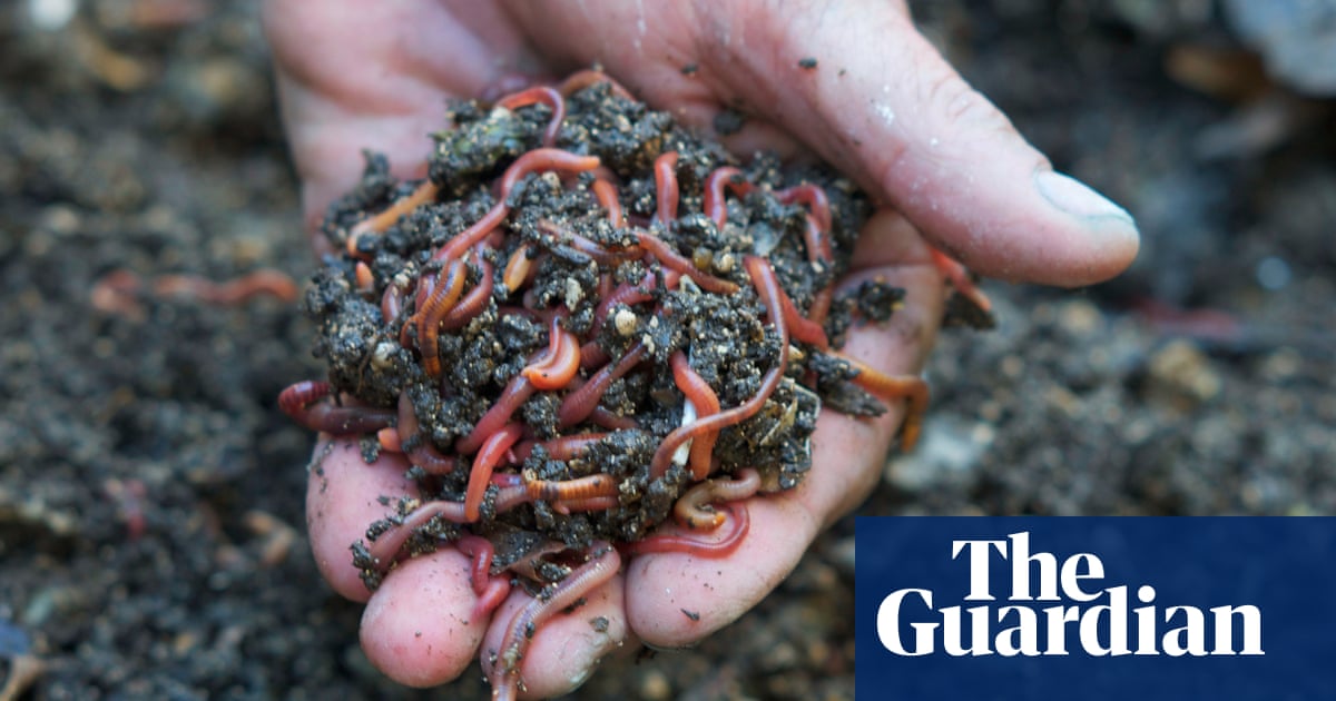 ‘Pesticides by stealth’: garden soil conditioners killing worms, experts fear | Invertebrates