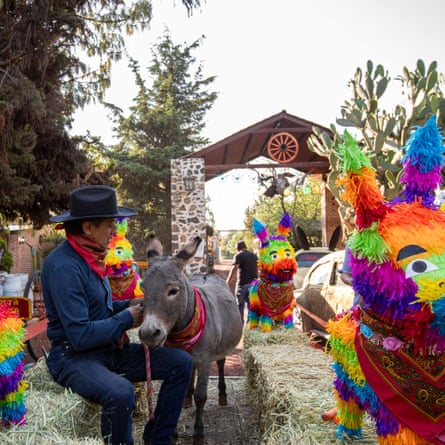Flores sits beside his donkey Tribilin on hay bales, surrounded by colourful piñatas