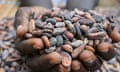 A farmer holds cocoa beans at a farm in Ivory Coast.