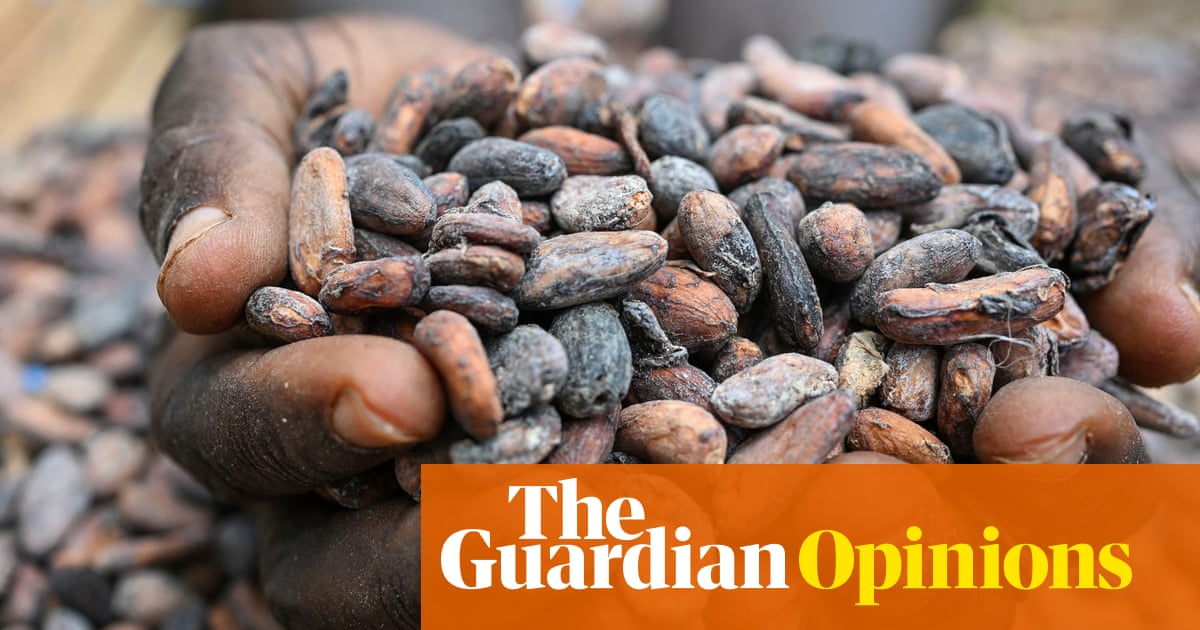 The Guardian view on the price of chocolate: cocoa producers face bitter truths | Editorial | The Guardian