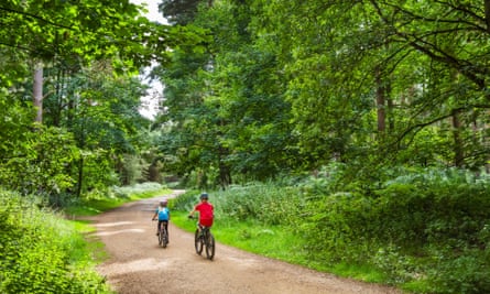 Children cycling through Thetford Forest