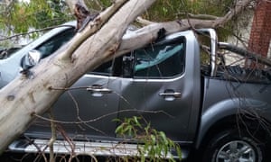 Un arbre de la propriété de Peter Kranz s'est effondré sur la voiture de son voisin à la suite d'un temps violent à Morisset, en Nouvelle-Galles du Sud, le dimanche 21 mars 2021. Personne n'a été blessé.
