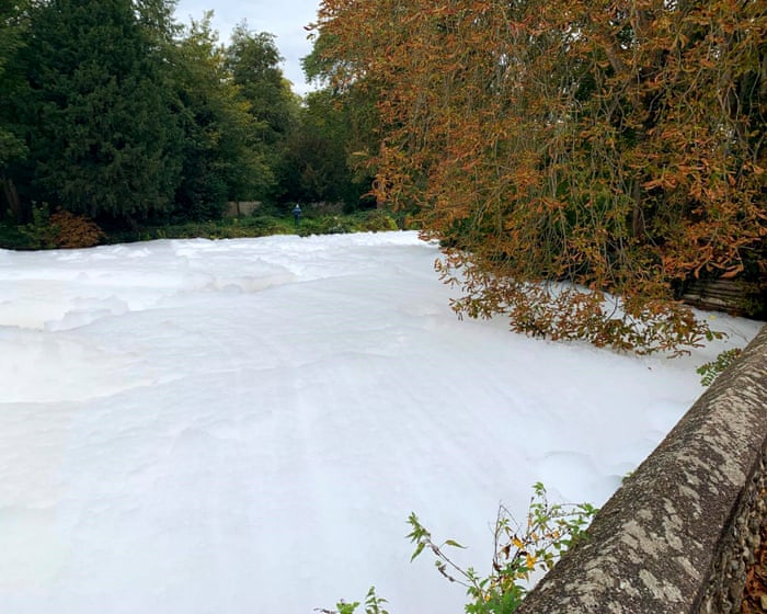 Dead fish found on River Thet where large stretch of white foam appeared