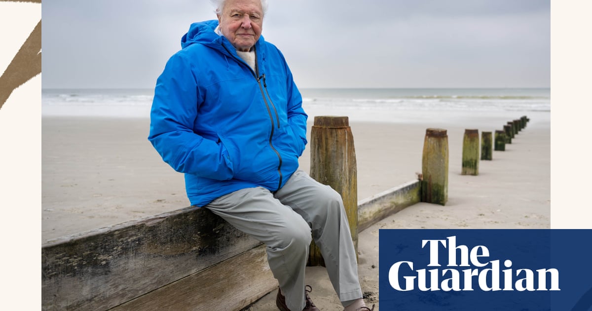 Ocean with David Attenborough, Forever and PinkPantheress: the week in rave reviews