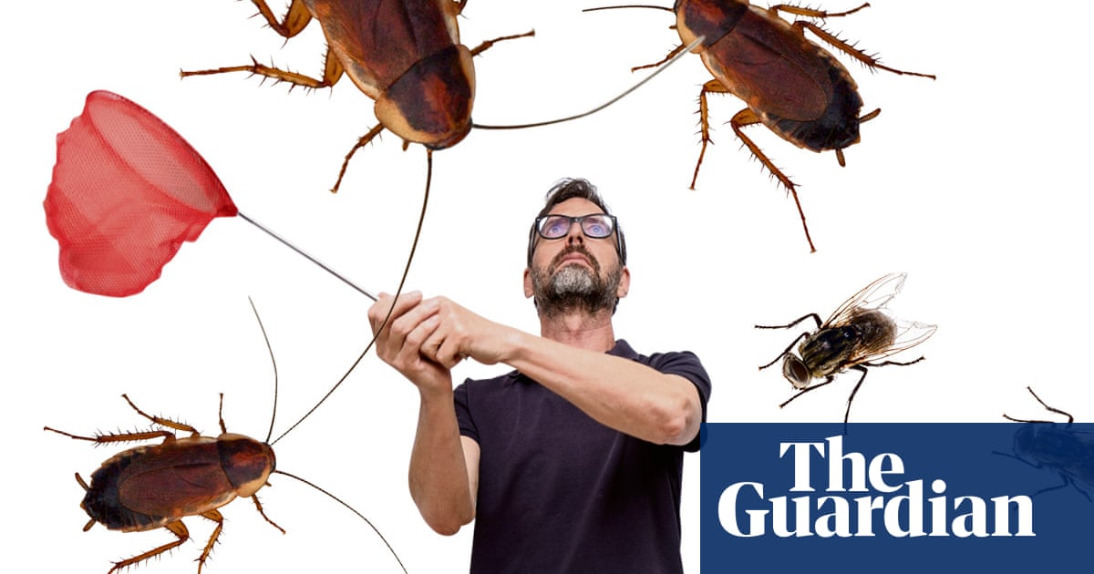Spare that flea! How to deal humanely with every common household pest