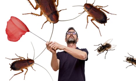 Tim Dowling … ‘It’s easy to get angry with household pests.’
