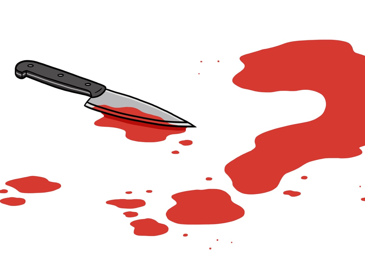 Lullaby By Leila Slimani Digested Read Thrillers The Guardian