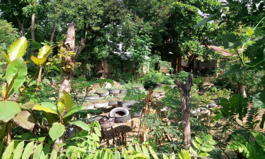 A subsistence farm nestles in the forest in Haiti.