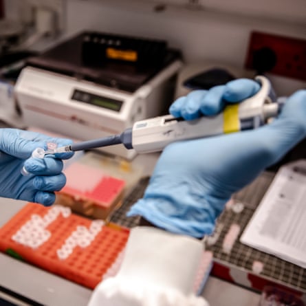 A scientist works on a sample in the immunology and microbiology lab.