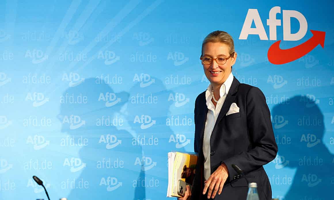 Alice Weidel smiles against a blue backdrop with the AfD logo on it.
