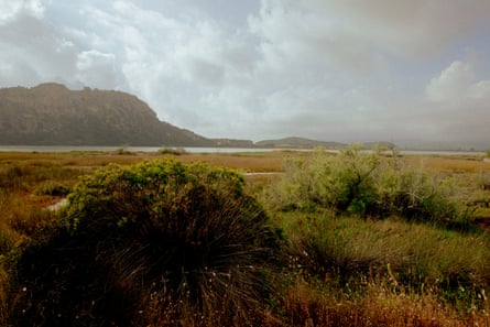 An expanse of vegetation with the headland in the distance