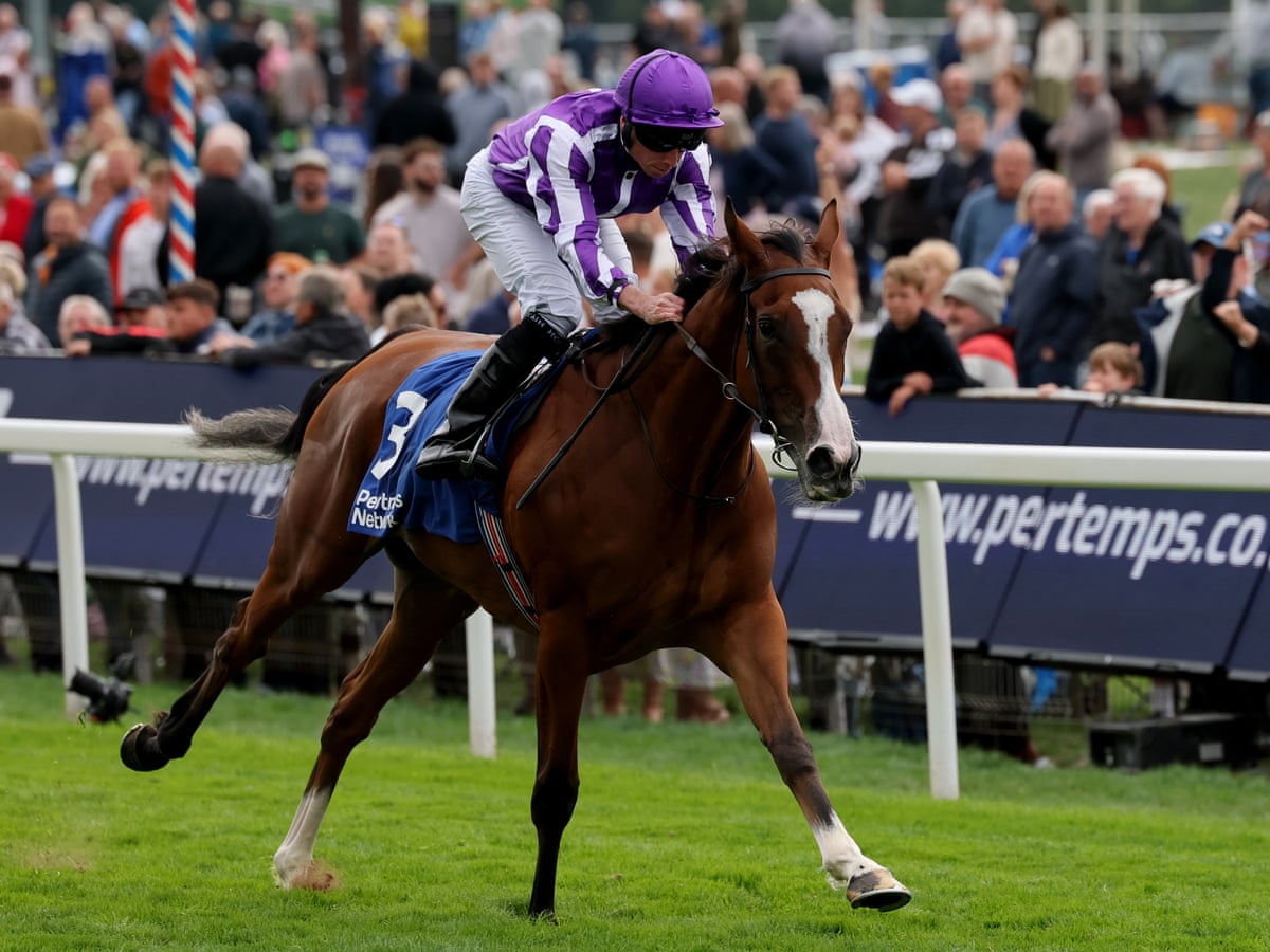 Ryan Moore's injury comes at worst time for Ballydoyle with ...